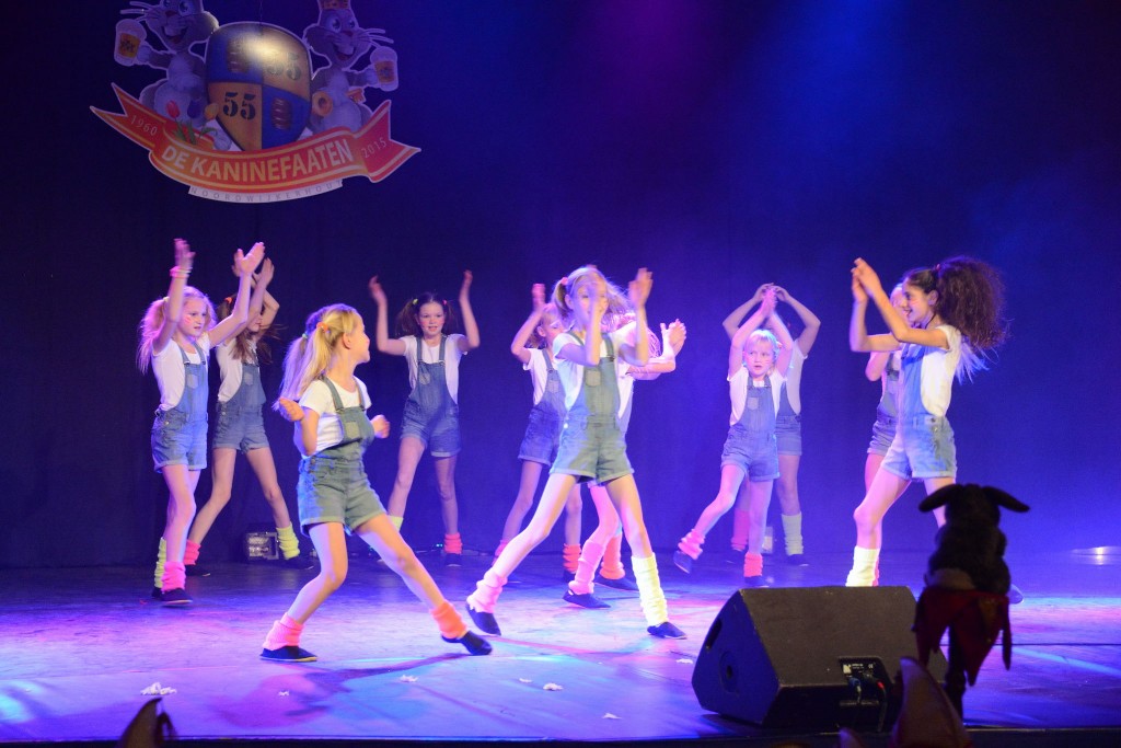 ../Images/Dansmarieke festival 2015 297.jpg
